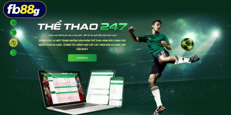 Nhà phát hành cung cấp 4 sảnh cược đỉnh cao hàng đầu