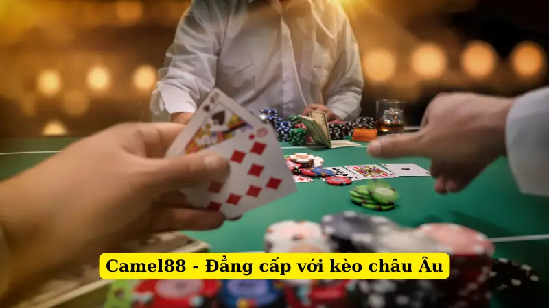 Camel88 - Đẳng cấp với kèo châu Âu